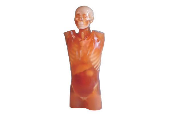 CT torso fantoom CTU-41